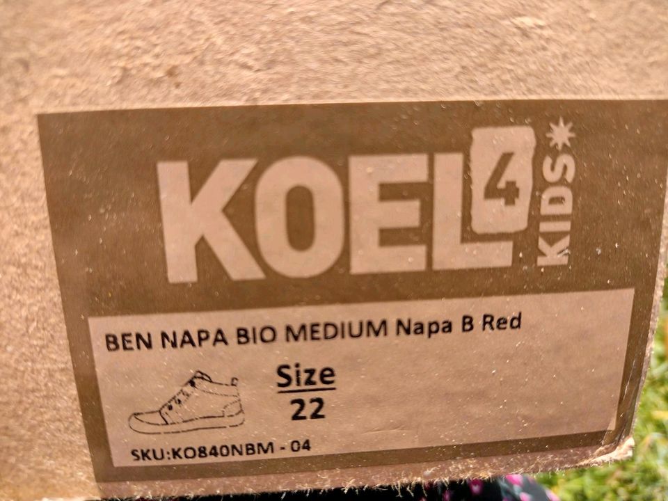 Koel Lauflernschuhe Barfußschuhe Leder bio Größe 22 rot neuwertig in Mulda