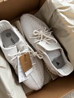 Adidas Yeezy Boost 350 V2 Größe 46 Hessen - Hofheim am Taunus Vorschau