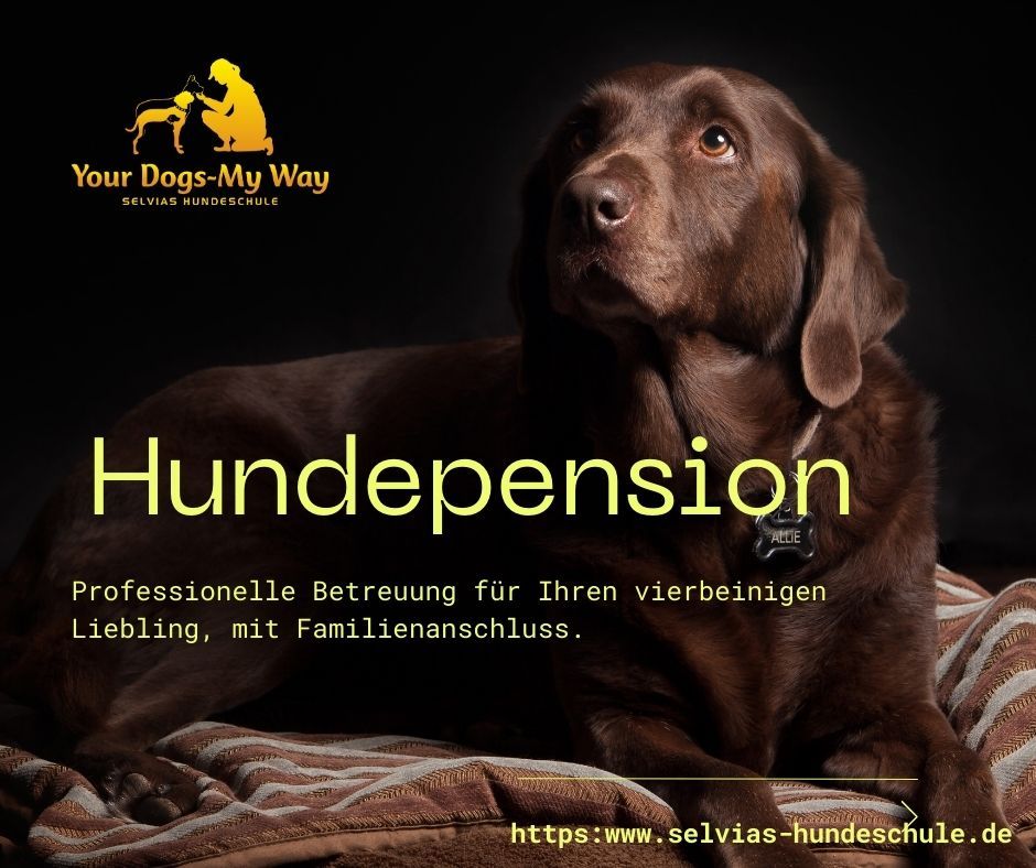 Hundepension in Burscheid