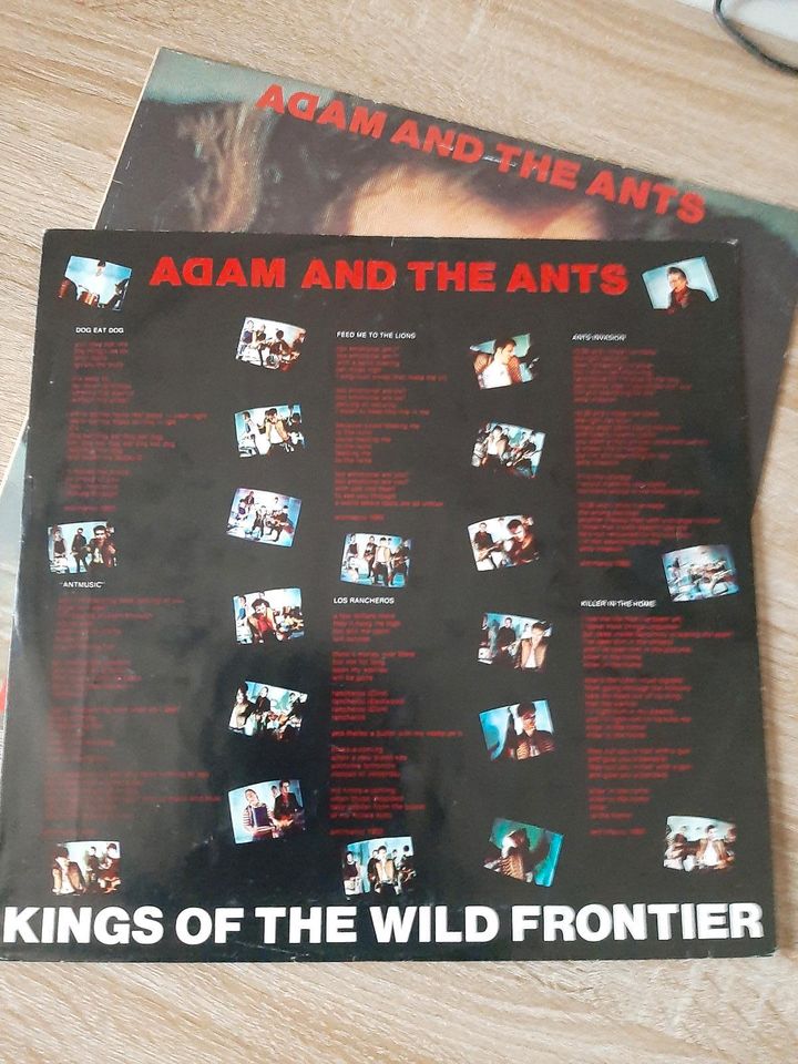 LP - Adam the and ants- kings the wild frontier in Salzgitter