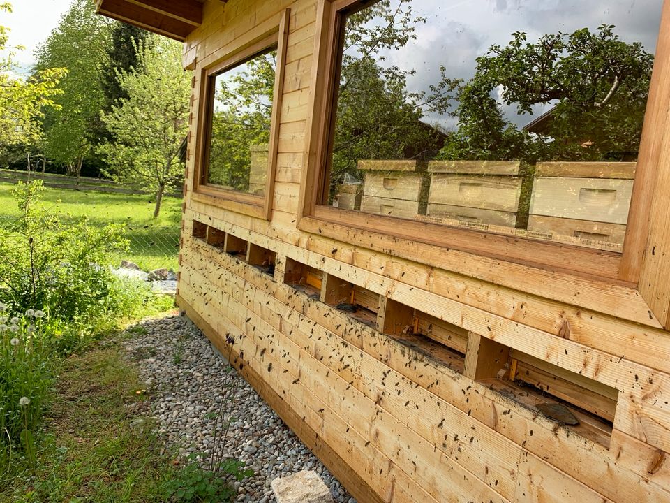 außergewöhnliche Übernachtung im Bienenhaus in Oberhaching