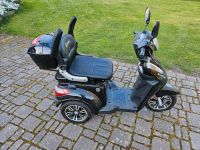 Econelo E Trike Niedersachsen - Hildesheim Vorschau