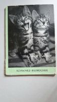 Buch Schwarz Verlag 60er Bildbücher Junge Katzen Bielefeld - Quelle Vorschau