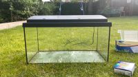 MP Aquastar 60 Aquarienset - schwarz Aquarium 54l Nordrhein-Westfalen - Beckum Vorschau