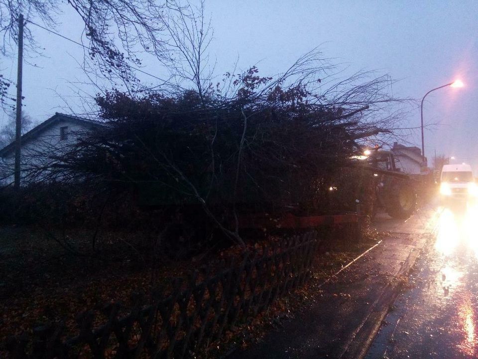 Sturmschaden,Astbruch ,Aufräumen ,Wasserschaden ,Hochwasser in Prüm