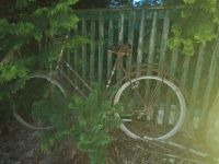 altes Fahrrad Deko rost antik Vintage Retro Niedersachsen - Algermissen Vorschau
