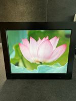 Hama Digital Photo Frame Nordrhein-Westfalen - Breckerfeld Vorschau