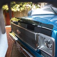 Bugshield BLAZER SUBURBAN PICKUP 73-80 CHEVROLET C K Mecklenburg-Strelitz - Landkreis - Neverin Vorschau