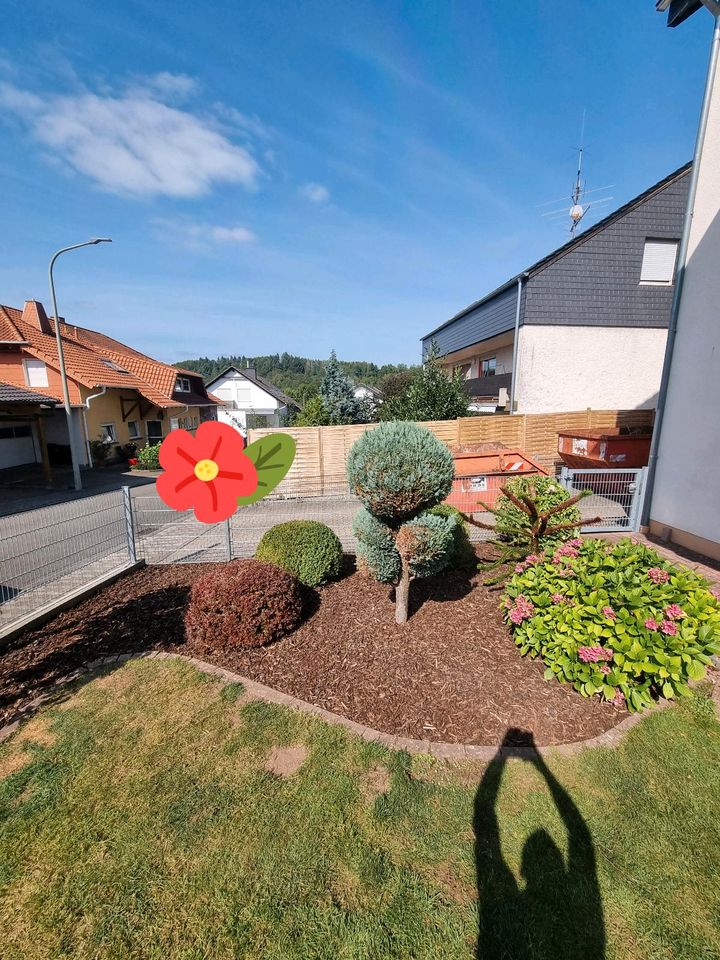 Gärtner. Biete Arbeiten rund ums Haus, Hof und Garten an in Saarbrücken