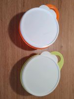 Tupperware Maximilian, 600 ml Baden-Württemberg - Mühlacker Vorschau