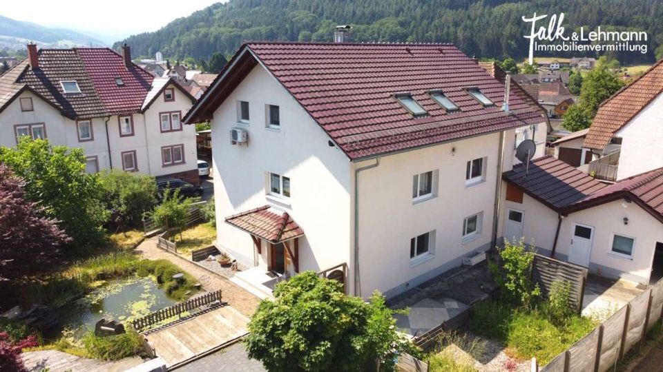 +++ 3-Zi.- Wohnung mit Kaminofen, EBK, Garage, Keller, Hobbyhaus und großem Außenbereich +++ in Lahr (Schwarzwald)