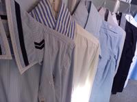 Bluse Gaastra Armani Polo Pepe Jeans Kitaro 36 Kiel - Elmschenhagen-Nord Vorschau