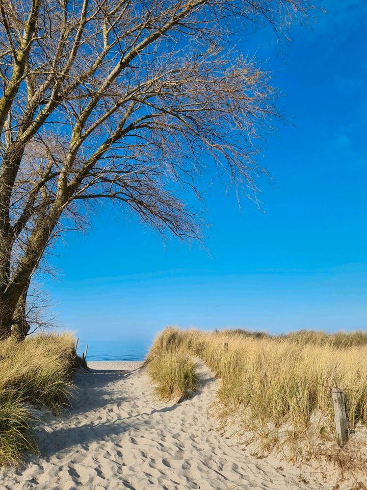 Ostsee Ferienhaus Sehlendorf Hohwachter Bucht strandnah Sauna 6 P in Blekendorf