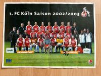 1. FC Köln Poster 2002/2003 signiert mit Autogrammen Nordrhein-Westfalen - Erftstadt Vorschau