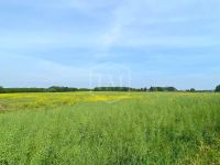 Ackerland in Xanten Nordrhein-Westfalen - Xanten Vorschau