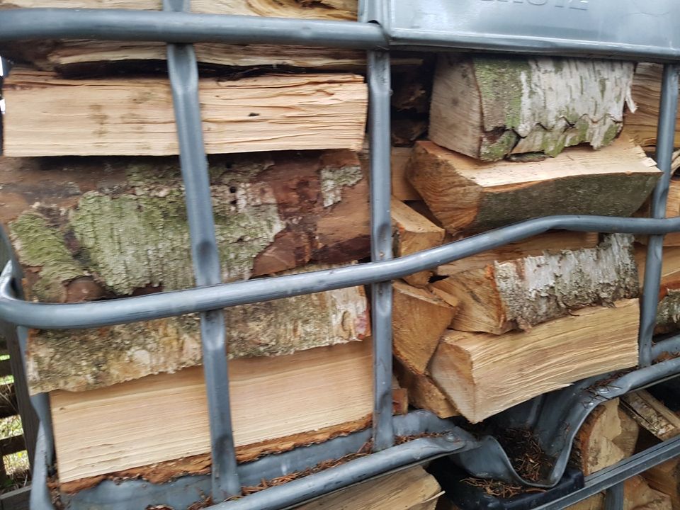 Gespaltene abgelagerte Birke als Brennholz/Kaminholz in Rees