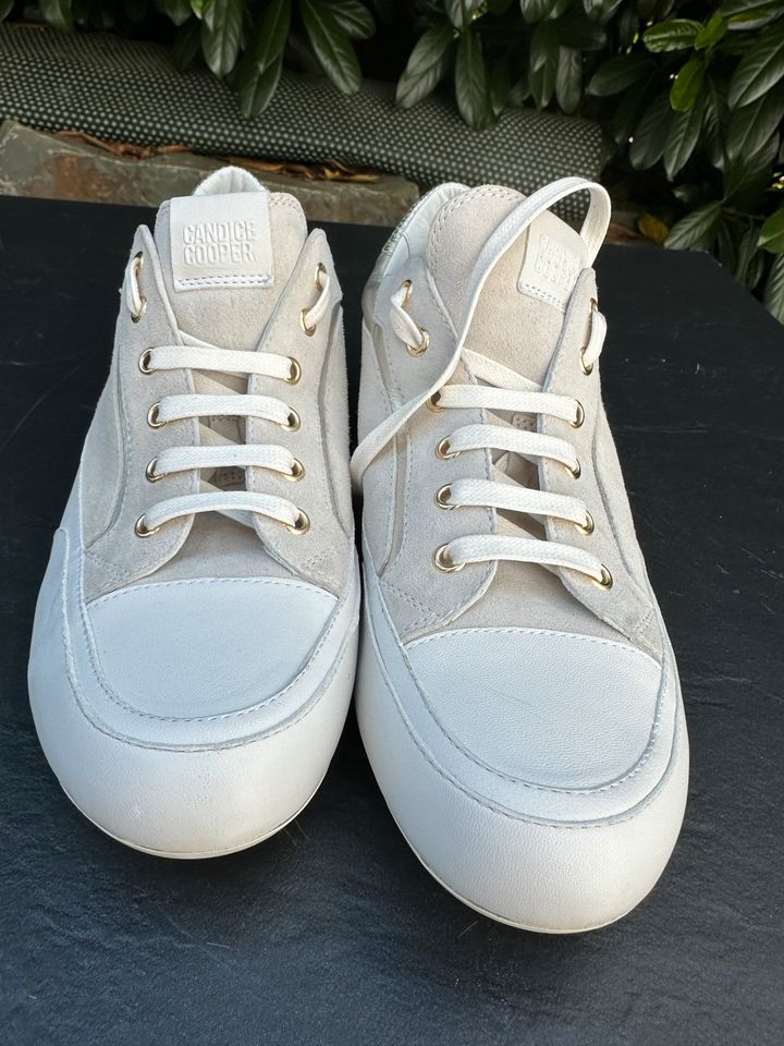 Candice Cooper Damen Sneaker Gr.43 Neu in Olpe