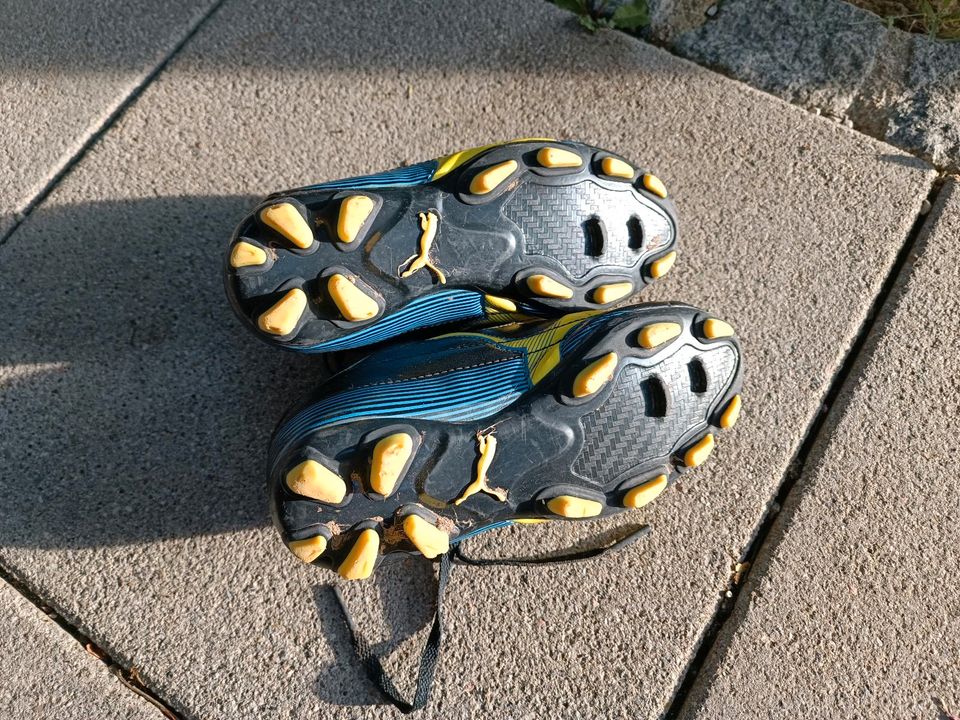 Puma Fußball Stollenschuhe Gr. 31 in Isen