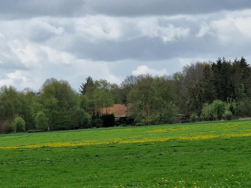 Wohn- / Ferien- / Landarbeiterhaus in fast Alleinlage in Blomberg