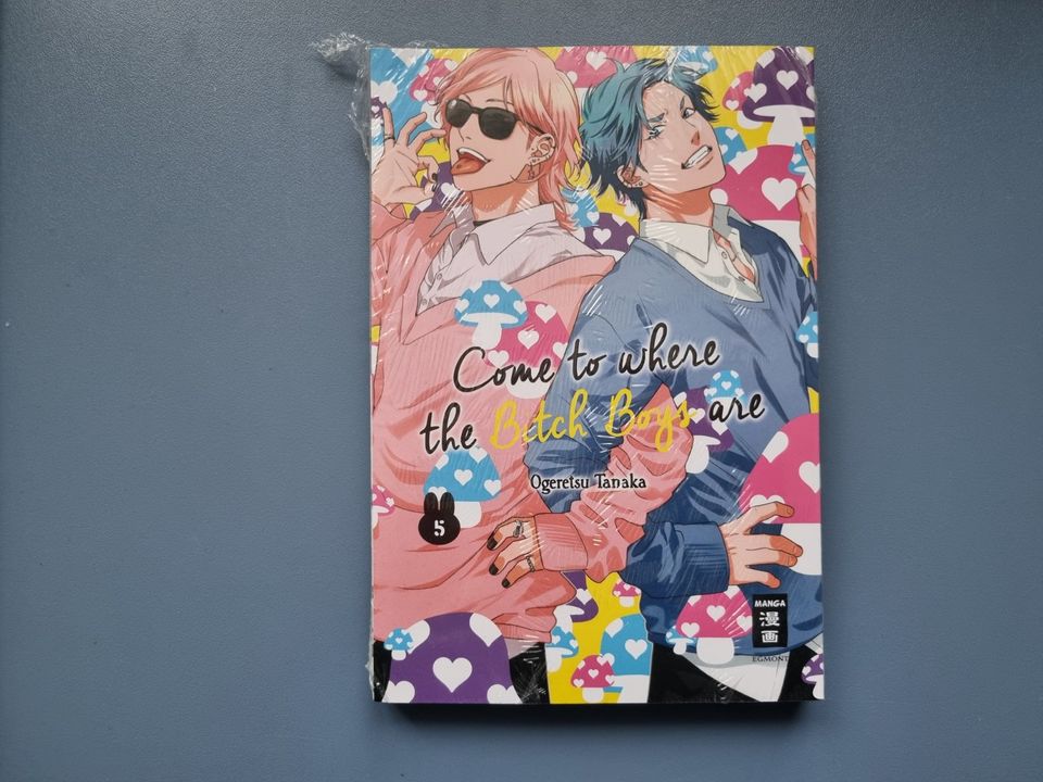 Come to where the Bitch Boys are 5 Manga BL Boys Love Yaoi in Berlin