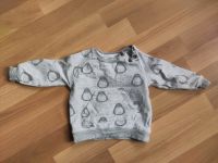 Pulli Gr. 62 Bellybutton Bio-Baumwolle grau Stuttgart - Bad Cannstatt Vorschau