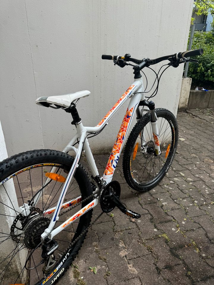 MTB Fahrrad zu Verkauf in Frankfurt am Main