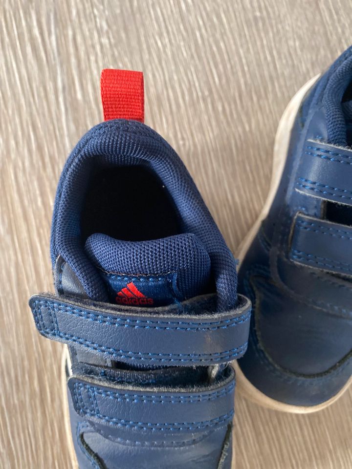 Sneakers Kinder Adidas blau in Borgstedt