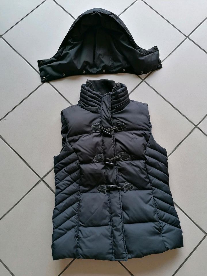 Esprit Daunen-Weste Damen schwarz Gr. 38 in Much