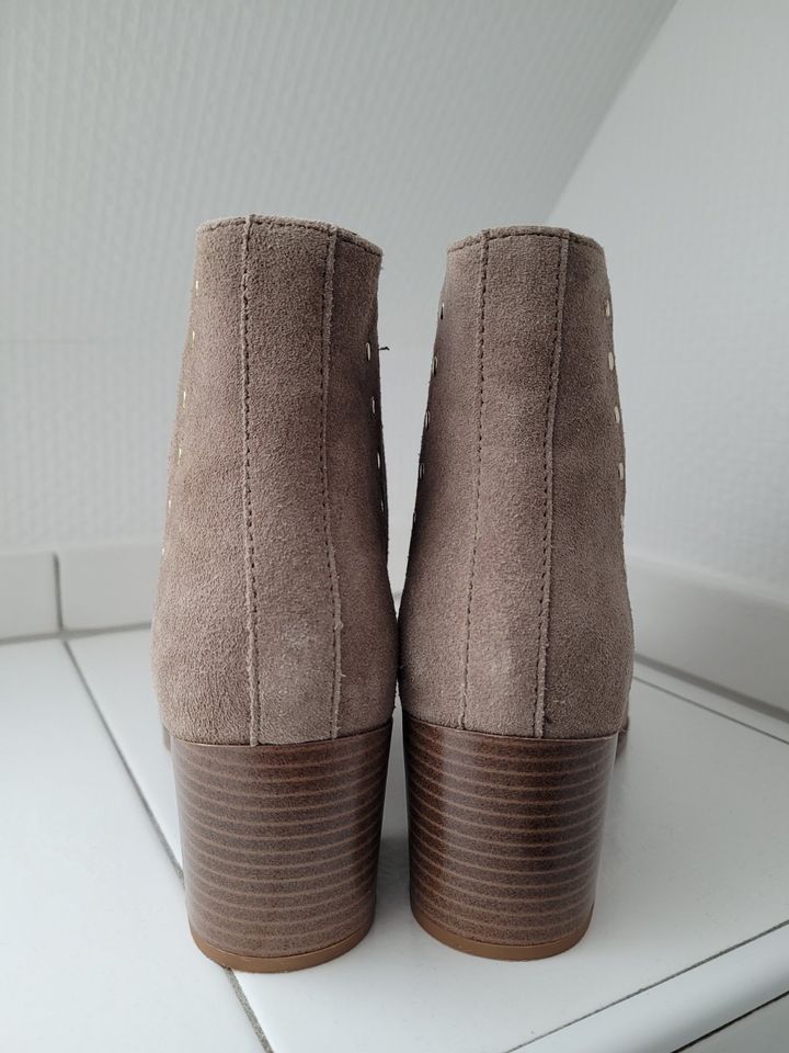 Anna Field - Ankle Boot - taupe in Polle