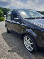 Fiat New Panda 1.2 8V Sport Rheinland-Pfalz - Selters Vorschau