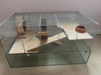 Kleintierkäfig/Hamsterkäfig 80cm, mit sehr viel Zubehör Schleswig-Holstein - Wees Vorschau