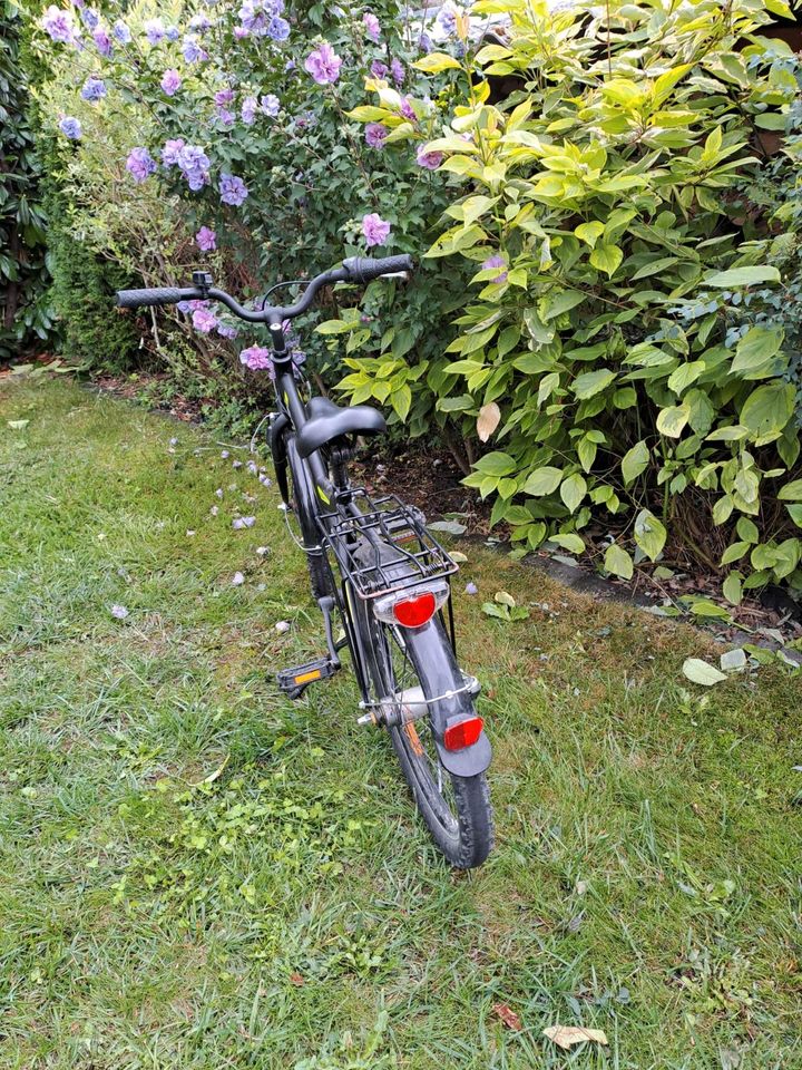 Fahrrad 20 Zoll in Linkenheim-Hochstetten