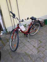 Schönes Damen Fahrrad Baden-Württemberg - Emmingen-Liptingen Vorschau
