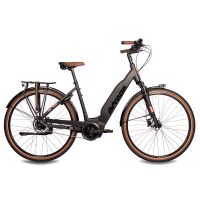 28 Zoll Damen E-Bike LS Trekking Fahrrad LUMINA BOSCH 500 Wh 8s Berlin - Reinickendorf Vorschau