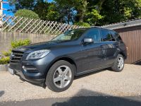 Mercedes ML 350 BlueTech Baden-Württemberg - Reutlingen Vorschau