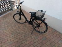 Damenfahrrad Sachsen - Wurzen Vorschau