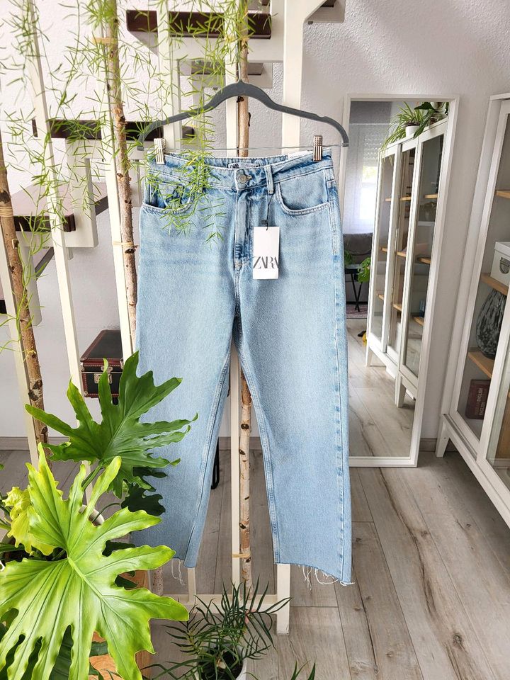 Jeans Zara 38 in Dortmund