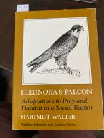 Eleonoras Falcon Nordrhein-Westfalen - Vettweiß Vorschau