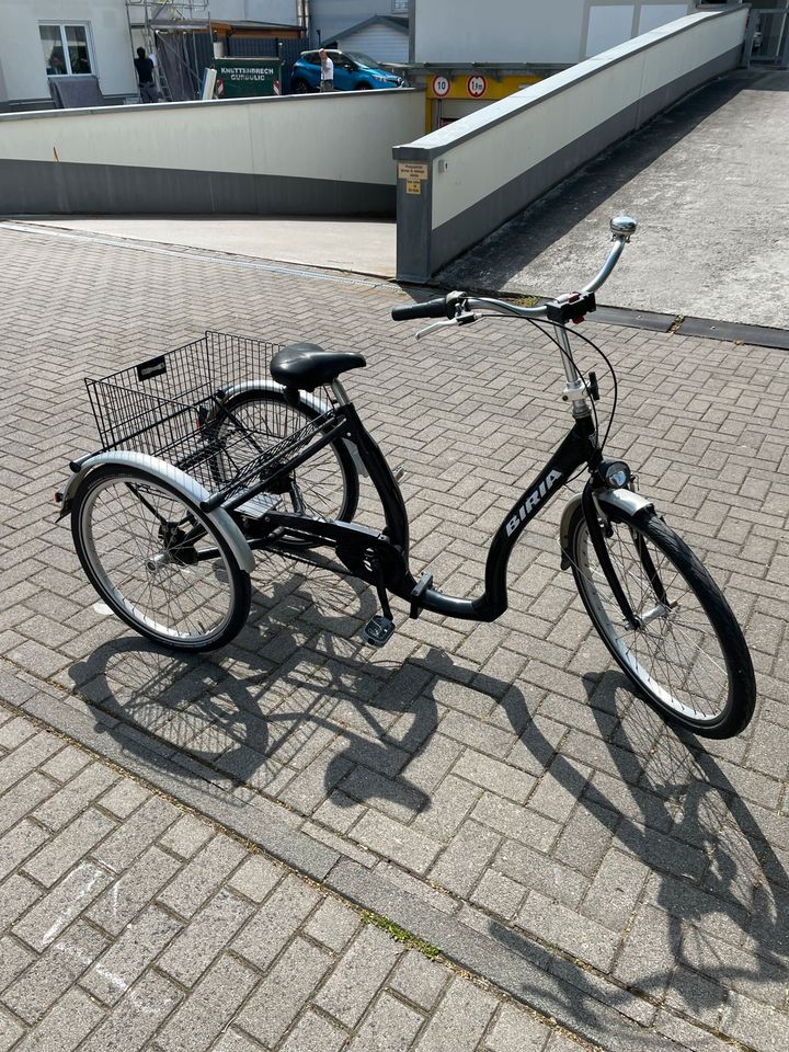 Dreirad für Erwachsene (Bria) in Hochheim am Main