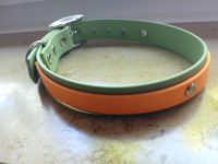 Halsband - Hundehalsband - Neu - 36 / 43 cm Niedersachsen - Rastede Vorschau
