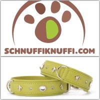 MAUL Leder Hundehalsband Diamond Sommer Edition pistazie/silber Hessen - Calden Vorschau
