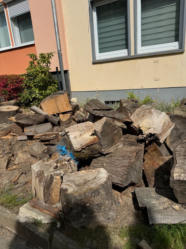 Brennholz Eiche Kaminholz in Witten