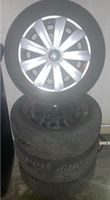 205/55R16 91H Continental WinterContact TS860 VW Audi Seat Skoda Niedersachsen - Peine Vorschau