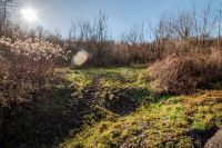 Ungarn: Großes Grundstück in Kehidakustany Baden-Württemberg - Nattheim Vorschau