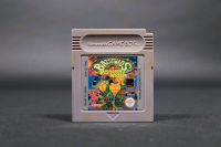 Battletoads in Ragnarok's World Nintendo Game Boy Color Advance Schleswig-Holstein - Neumünster Vorschau