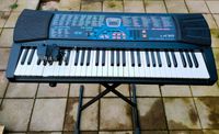 Casio Keyboard LK30 mit Leuchttasten und Keyboardständer Wurster Nordseeküste - Nordholz Vorschau