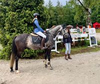 Reitbeteiligung liebevolles Endmaßpony Wallach 1,47m Nordrhein-Westfalen - Wachtberg Vorschau