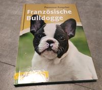 Buch Französische Bulldogge Bayern - Üchtelhausen Vorschau