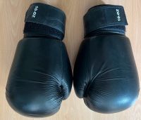 Boxhandschuhe 10 OZ Kampfsport Boxen Kickboxen Thaiboxen Nordrhein-Westfalen - Lohmar Vorschau