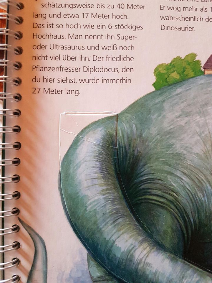 Wieso weshalb warum Buch Dinosaurier in Oberthulba